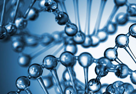 Influence de l'excipient de dihydrate de tréhalose sur les systèmes d'administration de médicaments